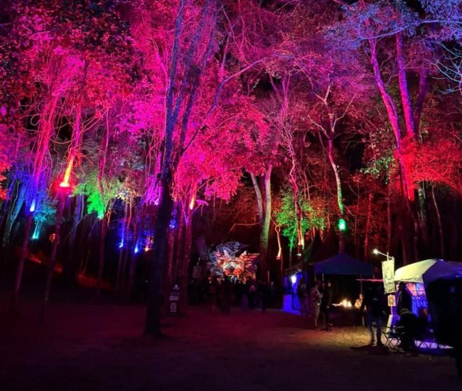 13ee08e8-60a0-406b-ad02-c93943faa4b1