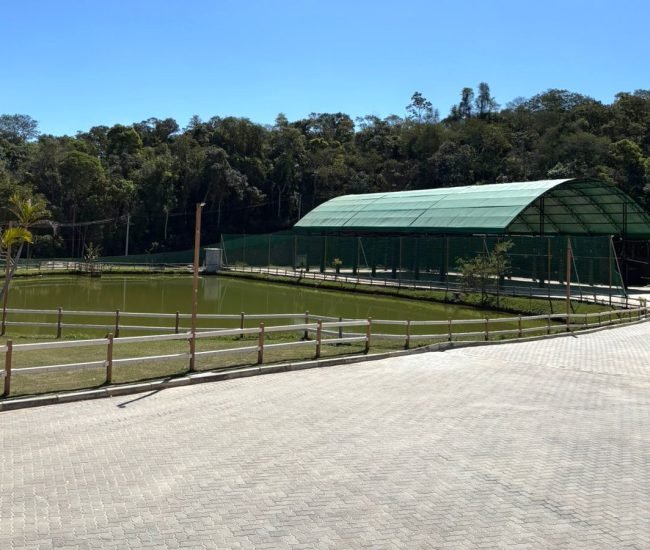 WhatsApp Image 2025-09-18 at 14.15.14