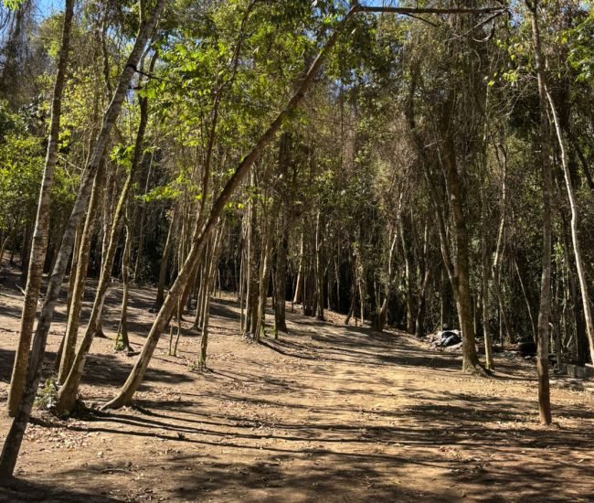 WhatsApp Image 2025-09-18 at 14.15.17